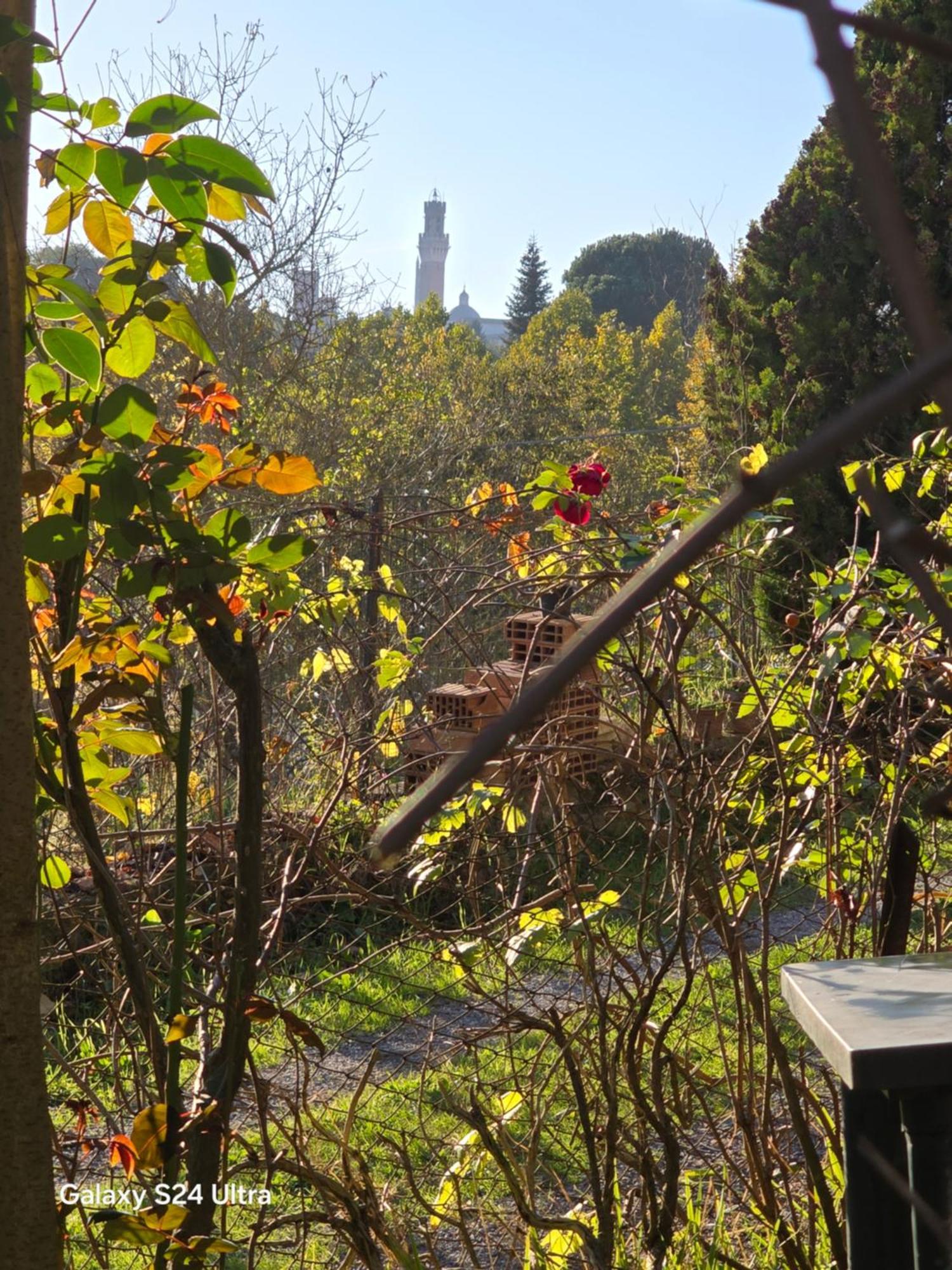 Podere Ponticini Siena Exterior foto